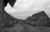Kirchfeldsiedlung, Blick in den Lärchenweg, 1952, Stadtarchiv Karlsruhe 8/BA Schlesiger A2/48/3/13.