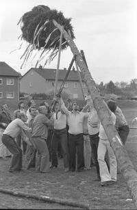 Maibaum auf dem Vereinsgelände des Fußballvereins Fortuna Kirchfeld am Forlenweg 33, 1978, Stadtarchiv Karlsruhe 8/BA Schlesiger A35/160/7/24.